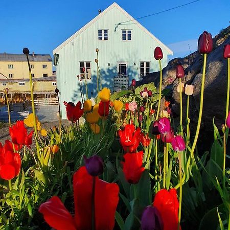 Lysvoldbrygga Bed & Breakfast Henningsvær Eksteriør bilde