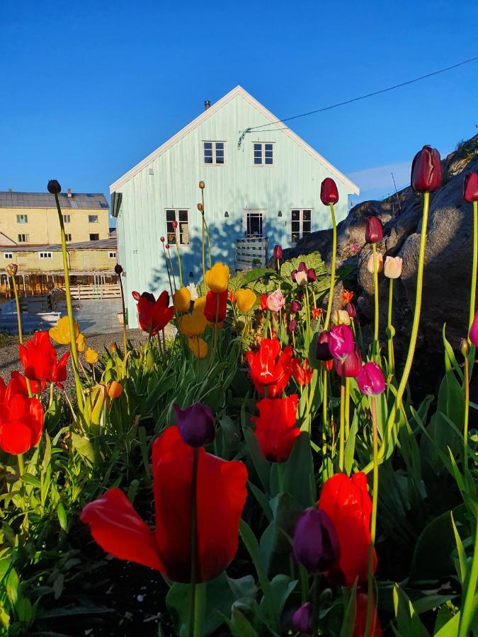 Lysvoldbrygga Bed & Breakfast Henningsvær Eksteriør bilde